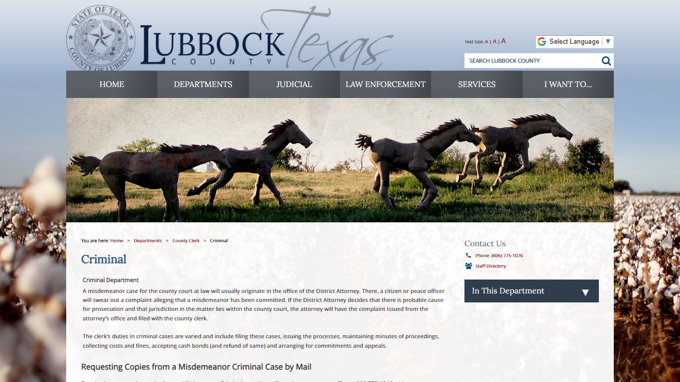Criminal / Lubbock County, Texas